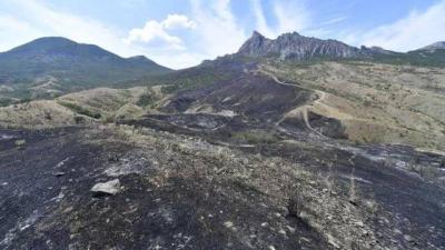 Прикрепленное изображение: scale_2400 (1).jpg